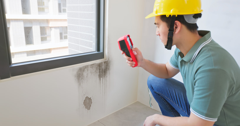 An inspector using a moisture meter to check wall water damage in Olympia, WA